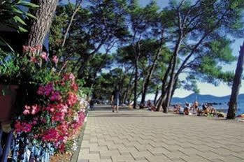 Adria Apartment Zadar